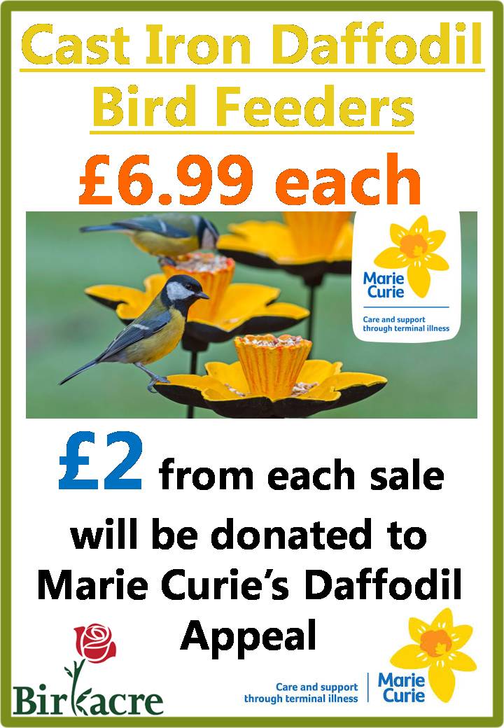 Marie Curie's Great Daffodil Appeal 2017 Birkacre Garden Centre